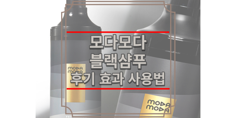 모다모다 블랙샴푸