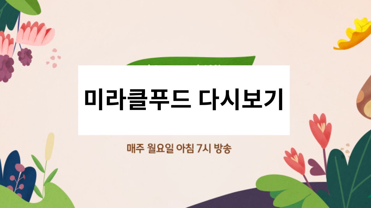 미라클푸드 다시보기