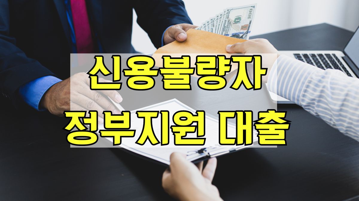 신용불량자 정부지원 대출