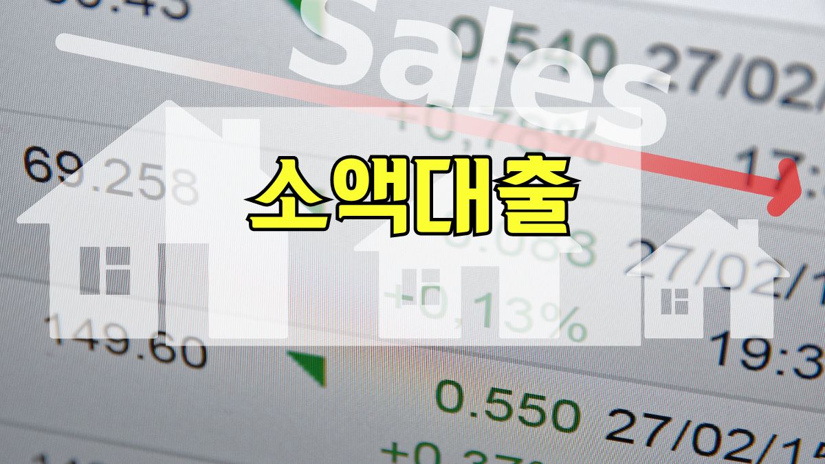 소액대출