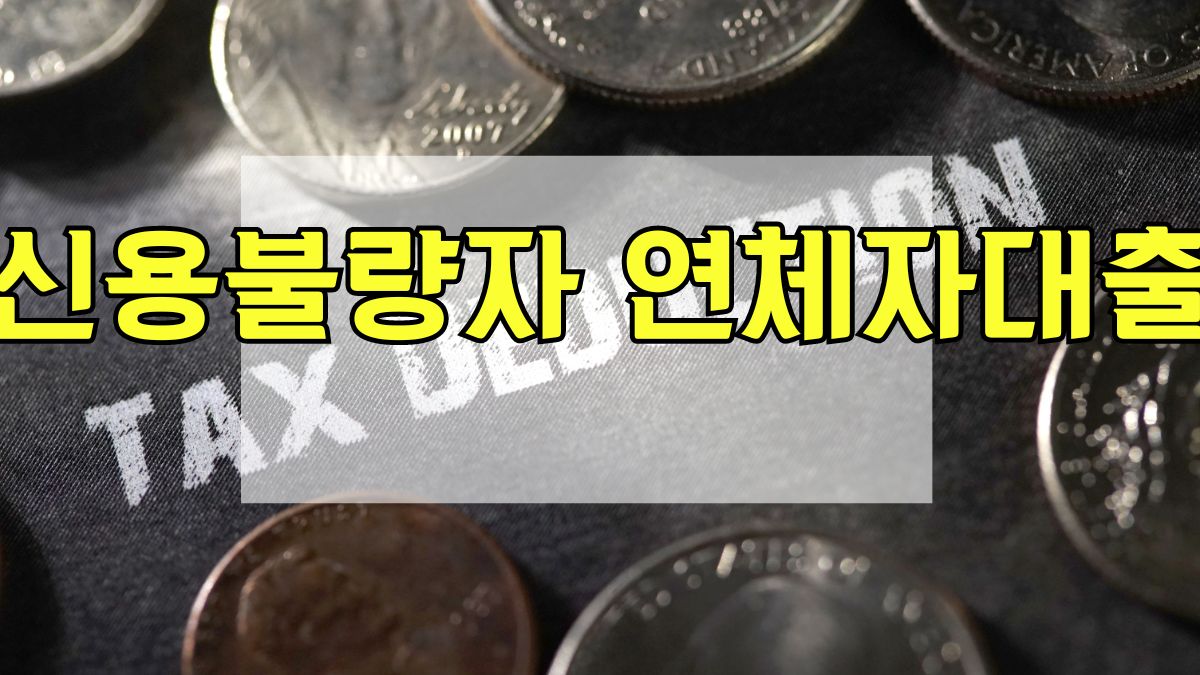 신용불량자 연체자대출