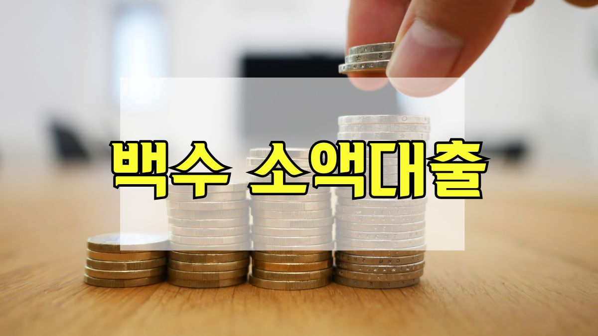 백수 소액대출