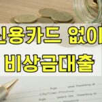 신용카드 없이 비상금대출