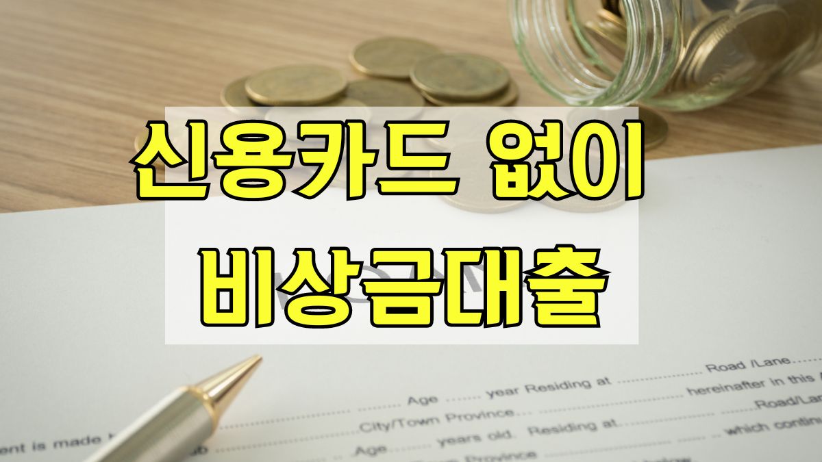 신용카드 없이 비상금대출