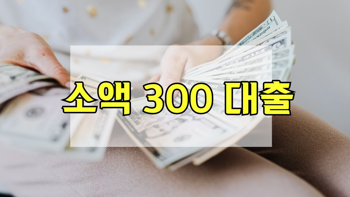 소액 300 대출