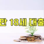 만 18세 대출