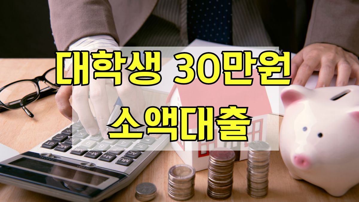 대학생 30만원 소액대출