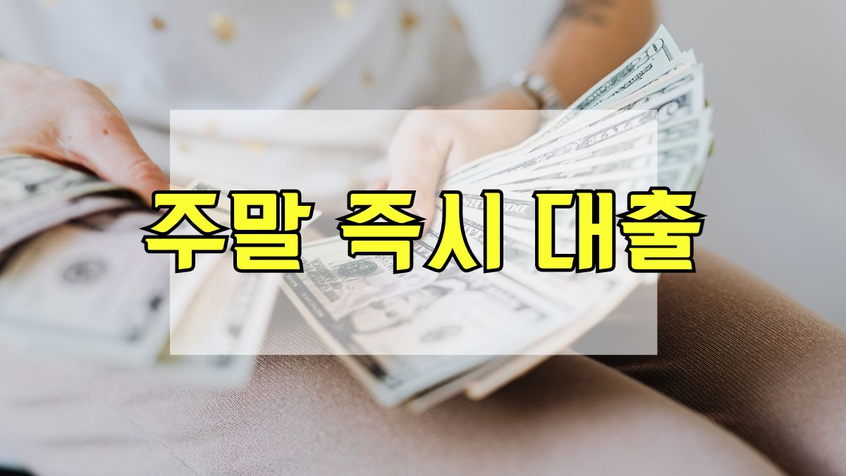 주말 즉시 대출